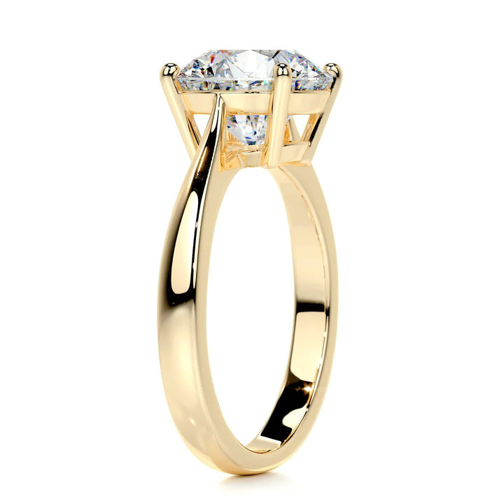 3 Carat Round Solitaire Engagement Ring 18K Gold & Platinum - Raphana Jewellery